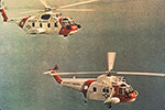 HH-3F Pelican & HH-52A Seaguard