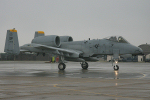 81st FS A-10A Thunderbolt II