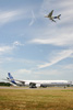 Airbus giants together - A380 & A340-600