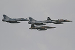 F-2000Cs & F-5Es