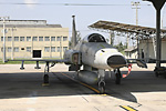 F-5EM