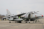 1(F) Sqn Harrier GR.7