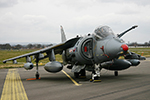 1(F) Sqn Harrier GR.7